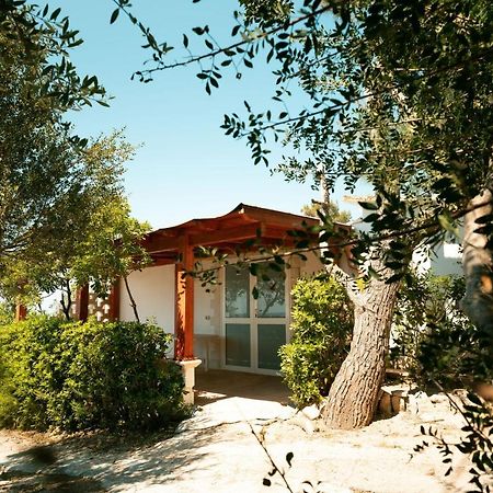 莱波拉诺I Giardini Di Santomaj公寓 外观 照片