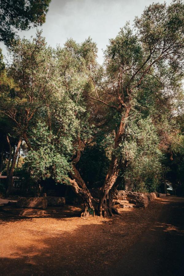 莱波拉诺I Giardini Di Santomaj公寓 外观 照片